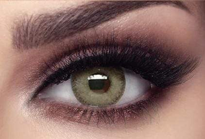 Elite Gray Olive - Bella Contact Lenses Oman